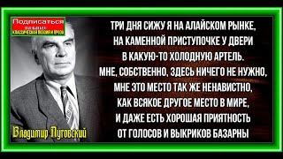 Алайский рынок,  Владимир Луговский , Советская Поэзия ,  читает Павел Беседин