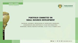 Portfolio Committee on Small Business Development, 07 March 2025