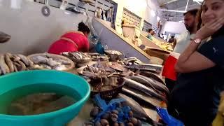 Diwale Fish market | भारतात का नाही विकत २ नांग्यावाले चिंबोरे A1 fish Market  #diwalefishmarket