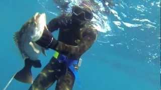 grouper 3 killo