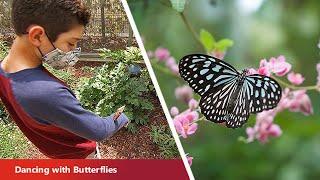 Natural History Museum of LA County and the Butterfly Pavilion are Open Again I Reach Further