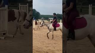 #equestrianjourney #equestrian #fypシ゚viral #eq