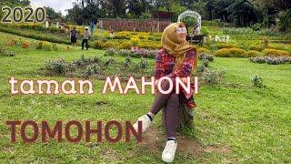 jalan jalan ke taman Mahoni Tomohon