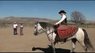 Atrevido - Pure Lusitano 2009