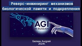 Реверс-инжиниринг механизмов биологической памяти и подкрепления — Андрей Белкин — Семинар AGI