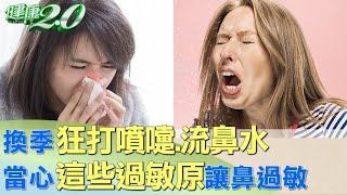 換季狂打噴嚏.流鼻水 當心這些過敏原讓鼻過敏 健康2.0