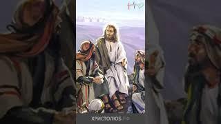 #ИИСУС #ХРИСТОС о любви внутри церкви #Евангелие #НовыйЗавет #Библия @ХРИСТОЛЮБ ️ @ВЕГАН  #shorts