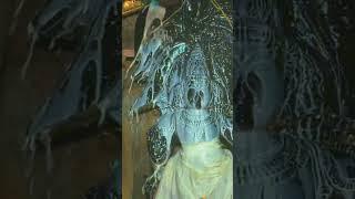 ️ Sri Rudram | Powerful Shiva Abhishekam Chant | Divine Blessings & Protection 