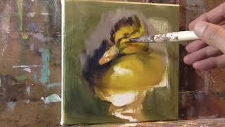 Duckling LONG version Oil Painting Demo ALLA PRIMA animal by Peter Chorao