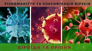 Різноманіття та класифікація вірусів. Віроїди та пріони.