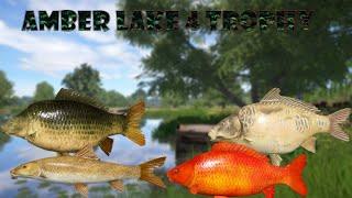 Russian Fishing 4| Trophy carp spot| #russianfishing4