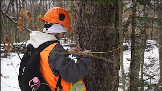 Forestry Technician - Partnership with Petawawa Research Forest