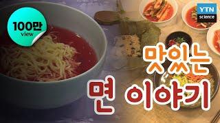 [다큐S] 맛있는 ‘면’이야기 / YTN 사이언스