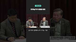 한우농가가 어려운 이유 [라디오X] #shorts