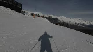 Dog on the slopes ,France La Plagne ,2020