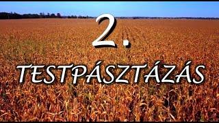 2. TESTPÁSZTÁZÁS (tudatos jelenlét meditáció Dr. Perczel-Forintos Dórával)