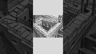 infinite staircase illusion #opticalillusion #cool