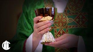 Catholic Mass Today: 11/10/24 | Thirty-Second Sunday in Ordinary Time