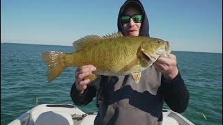 Top 3 Biggest Spring Smallmouth Bass! (compilation)