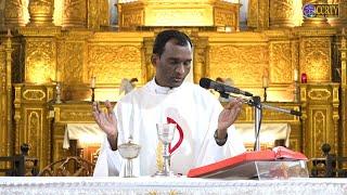 Mass in English - 15th June 2025 - Our Lady of Immaculate Conception Church, Panjim