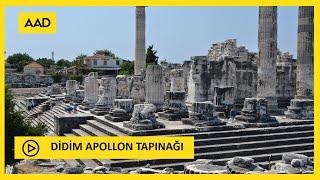 DİDİM  APOLLON TAPINAĞI 