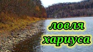 Рыбалка 21 октября  Осенняя ловля хариуса на удочку.  Ловля хариуса на Мутёжку 