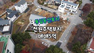 통일동산 A급 전원주택지 매매5억