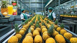 How Pineapple Juice Is Made In Factory | Captain Discovery