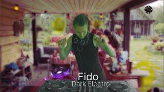 Podval EVENT06: FIdo & Faia  Morning Dark Electro set (2024 07 06)