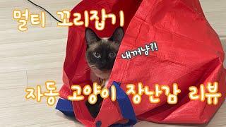 [먼지로그/cat's log] 자동 고양이 장난감 리뷰!