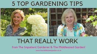 Top 5 gardening tips that really work! with The Impatient Gardener