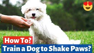 How to Train your dog to Shake Paws? The EASY Way to Train This...