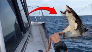 Insane Ocean Encounters: Scariest Moments Ever Recorded at Sea