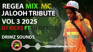 DJ KICKS FT DJ DEXTER  MC JALOOH TRIBUTE VOL 3 REGGAE 2025 ️