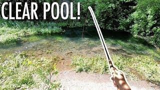 Fishing a Gorgeous Clear Pool for Rainbow Trout! – Tenkara Fly Fishing