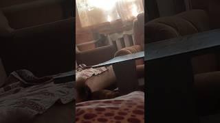 #Софин сын