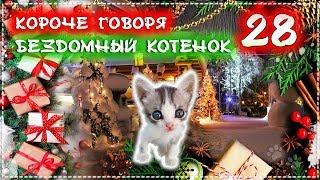 КОРОЧЕ ГОВОРЯ, Я БЕЗДОМНЫЙ КОТЕНОК  Лайки 28 [От первого лица] Историй одной жизни