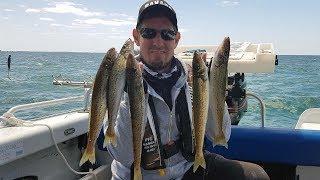 How to catch Whiting fishing Port Phillip Bay