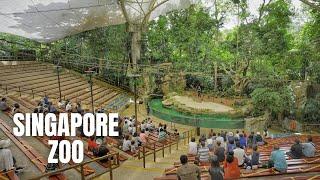 Singapore Zoo Walking Tour (4K HDR)