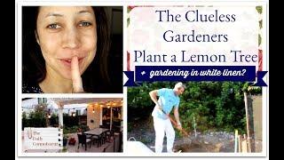 The Clueless Gardeners Plant a Lemon Tree