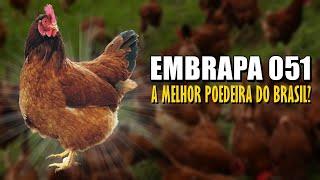 EMBRAPA 051: PADRÃO DA RAÇA, CARACTERÍSTICAS E PRODUÇÃO