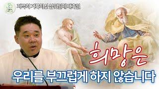 희망은 우리를 부끄럽게 하지 않습니다.ㅣ최황진 라파엘 신부 수원교구 마도성당 거룩하신 삼위일체 대축일 미사 강론 2025.6.15 떼제/천주교/가톨릭/신부님강의/가톨릭스튜디오