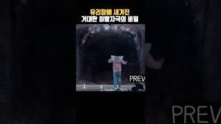 "소녀의 비명 뒤, 유리창에 새겨진 거대 이빨 자국! 상어 메가로돈의 귀환!" 