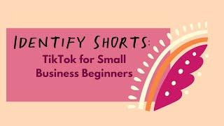 TikTok for beginners ( for small business owners) - Rachel Klaver, column on Stuff