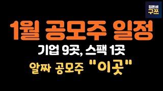 25년 1월 공모주 일정 | 6조 대어 엘지씨엔에스와 9곳