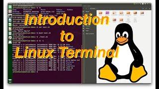 10 Beginning Linux Commands