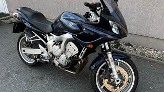 2004 Yamaha FZ6 Fazer - cold start and walk around (Dominator exhaust)