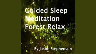 Guided Sleep Meditation Forest Relax