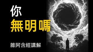 雜阿含經講解72 你無明嗎 五戒十善 緣起 戒禁取見 因果 業力果報Daily buddhist practice buddhism audiobook a level buddhism