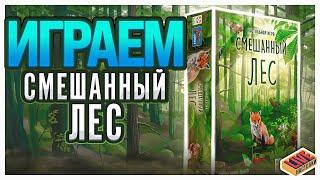 Играем в настольную игру Смешанный Лес